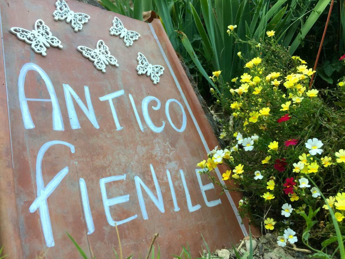 Antico Fienile Villa Celleno Eksteriør bilde